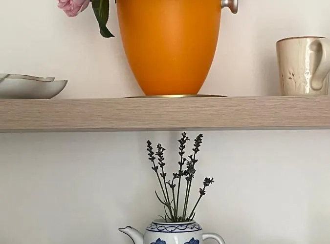Apartment Beautiful With Terrace Centre