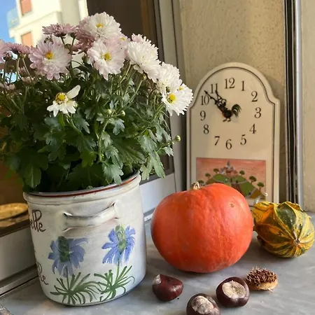 Beautiful With Terrace Centre דירה ניס